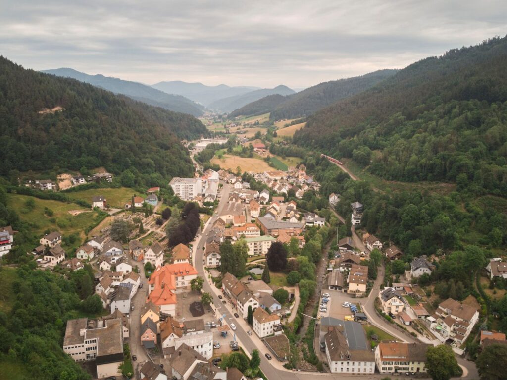 جنگل سیاه در المان