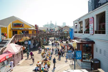 8 کار که باید در PIER39 انجام دهید-جاذبه ای دیدنی در امریکا