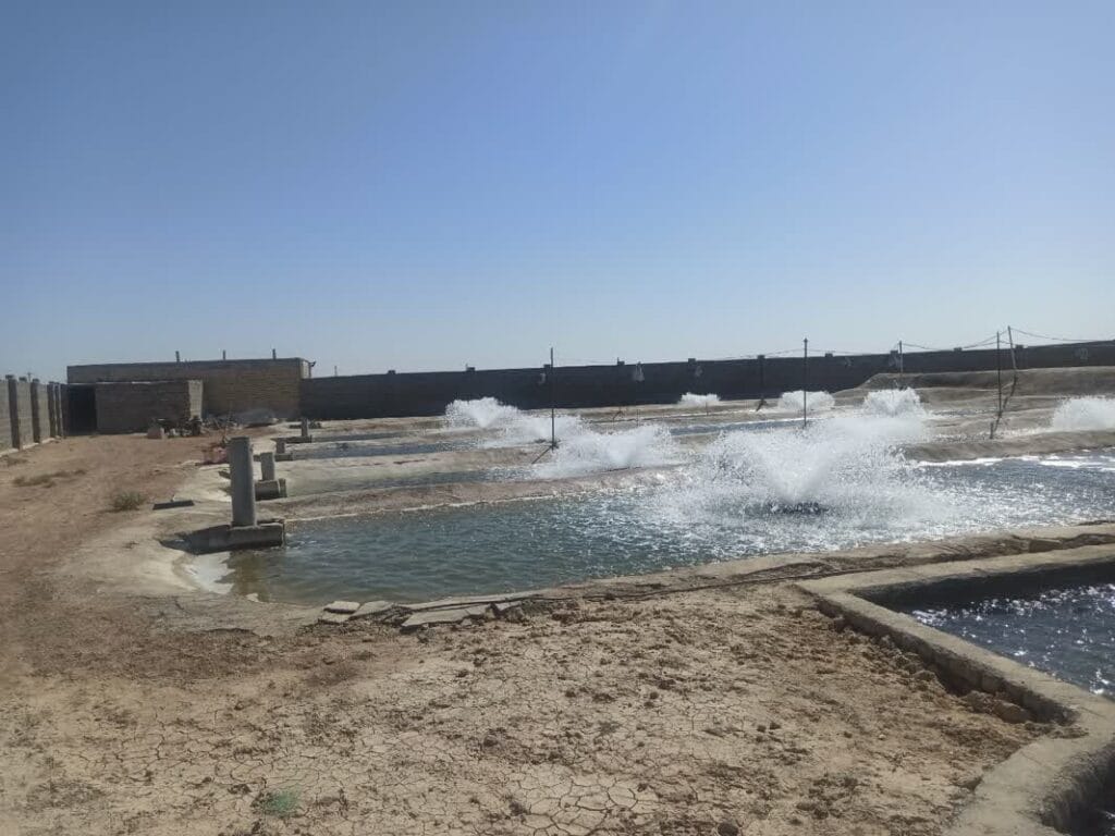 کارگاه آموزشی شیلات در دومینیکا برگزار شد
