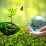 زندگی پایدار در دومینیکا 2025
