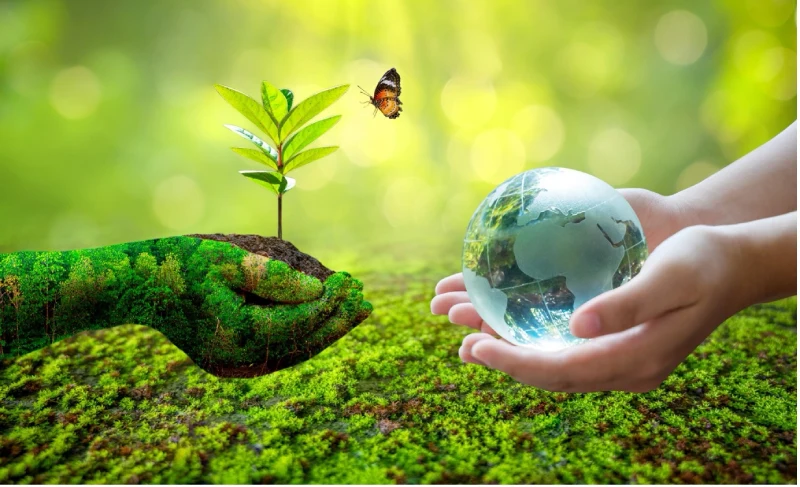 زندگی پایدار در دومینیکا 2025