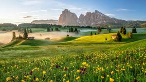 images 8 1