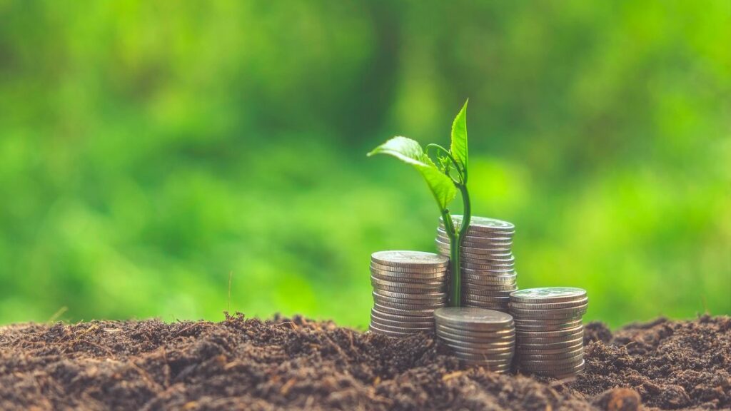 تحولات اقتصادی و اجتماعی دومینیکا 2025 33 تحولات اقتصادی و اجتماعی دومینیکا 2025