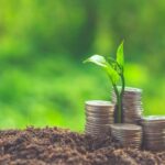 تحولات اقتصادی و اجتماعی دومینیکا 2025